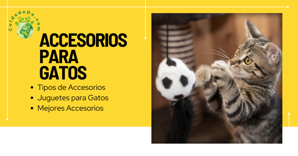 Accesorios para Gatos