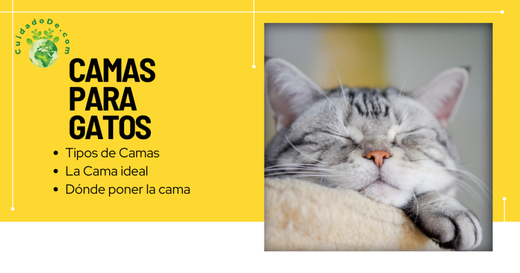 Camas para Gatos