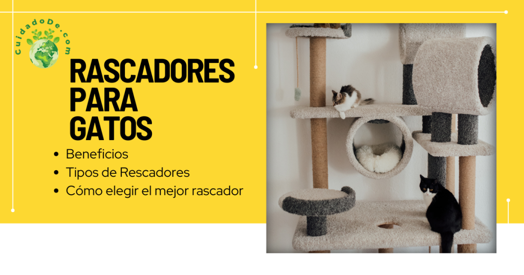 Rascadores para Gatos